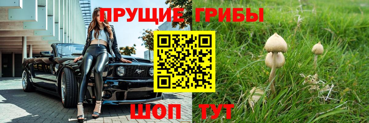 Галлюциногенные грибы мухоморы Кудрово
